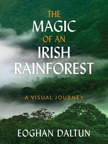 [object Object] «The Magic of an Irish Rainforest: A Visual Journey», автор Эоган Далтун - фото №1