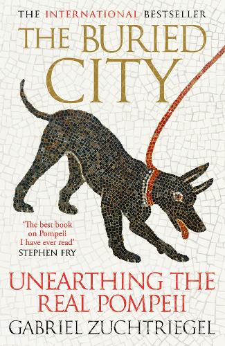 Паперова книга «The Buried City: Unearthing the Real Pompeii», автор Габріель Цухтрігель - фото №1