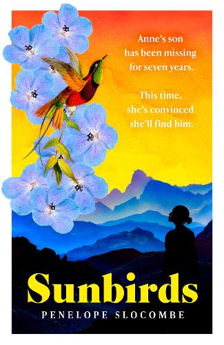 Бумажная книга «Sunbirds», автор Пенелопа Слокомб - фото №1