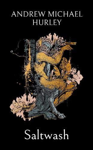 Бумажная книга «Saltwash: The chilling new novel from the 'master of menace'», автор Эндрю Майкл Херли - фото №1
