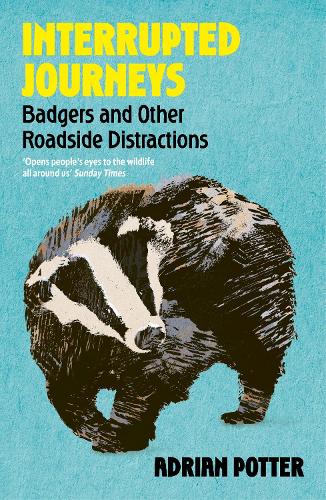 Paper book «Interrupted Journeys: Badgers and Other Roadside Distractions», author Adrian Potter - фото №1