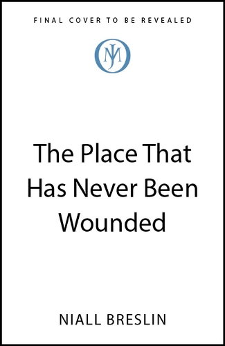 Паперова книга «The Place That Has Never Been Wounded: A Mindful Journey Home To Yourself - THE INSTANT NO.1 PAPERBACK NON-FICTION BESTSELLER IN IRELAND», автор Ніл Бреслін - фото №1