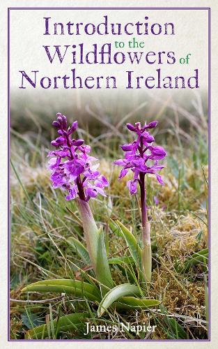 Бумажная книга «Introduction to the Wildflowers of Northern Ireland», автор Джеймс Напьер - фото №1