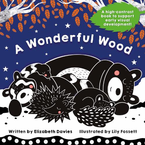 Бумажная книга «A Wonderful Wood: A Black-and-White High-Contrast Storybook for Newborns and Children aged 0-5», автор Элизабет Дэвис - фото №1
