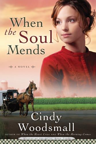 Паперова книга «When the Soul Mends», автор Сінді Вудсмалл - фото №1