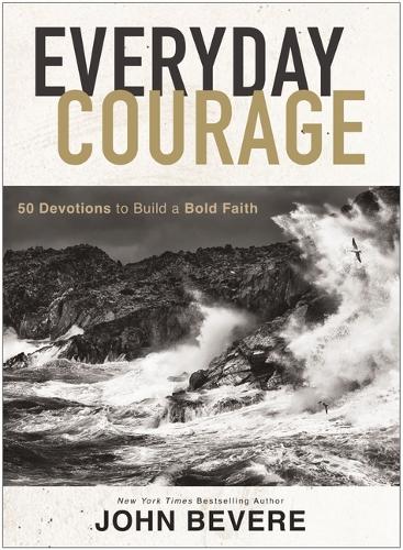 Бумажная книга «Everyday Courage: 50 Devotions to Build a Bold Faith», автор Джон Бевер - фото №1