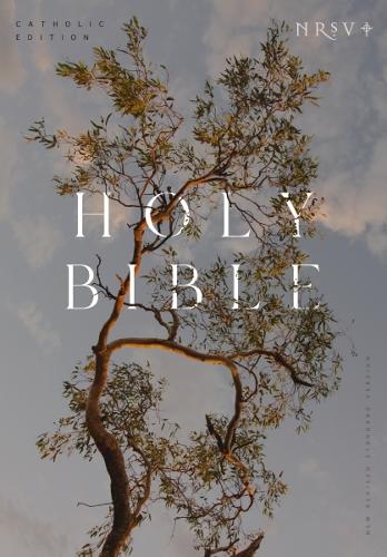 Бумажная книга «NRSV Catholic Edition Bible, Eucalyptus Paperback (Global Cover Series): Holy Bible», автор Католическое библейское издательство - фото №1