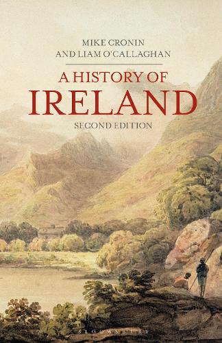 Бумажная книга «A History of Ireland», автор Лиам О'Каллаган - фото №1