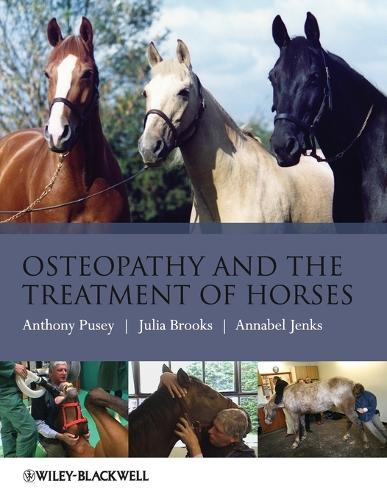 Бумажная книга «Osteopathy and the Treatment of Horses», авторов Аннабель Дженкс, Энтони Пьюси, Джулия Брукс - фото №1