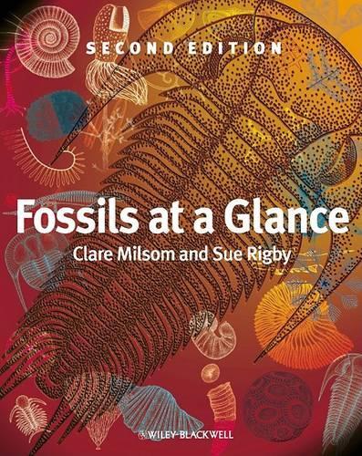 Бумажная книга «Fossils at a Glance», авторов Клэр Милсом, Сью Ригби - фото №1