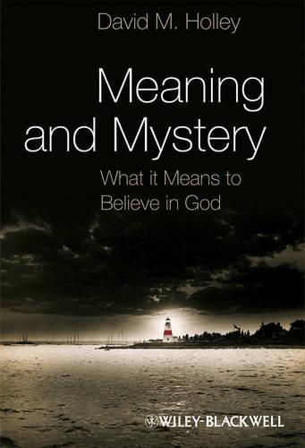 Бумажная книга «Meaning and Mystery: What It Means To Believe in God», автор Дэвид М. Холли - фото №1