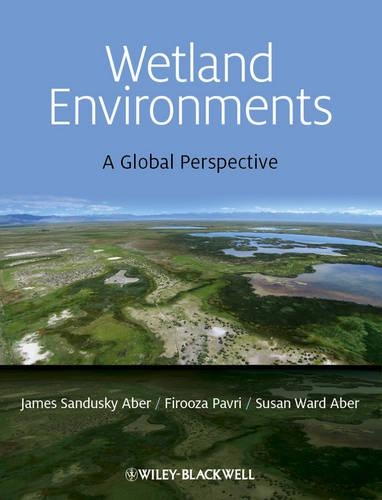 Бумажная книга «Wetland Environments: A Global Perspective», авторов Фируза Паври, Джеймс С. Абер, Сьюзан В. Абер - фото №1