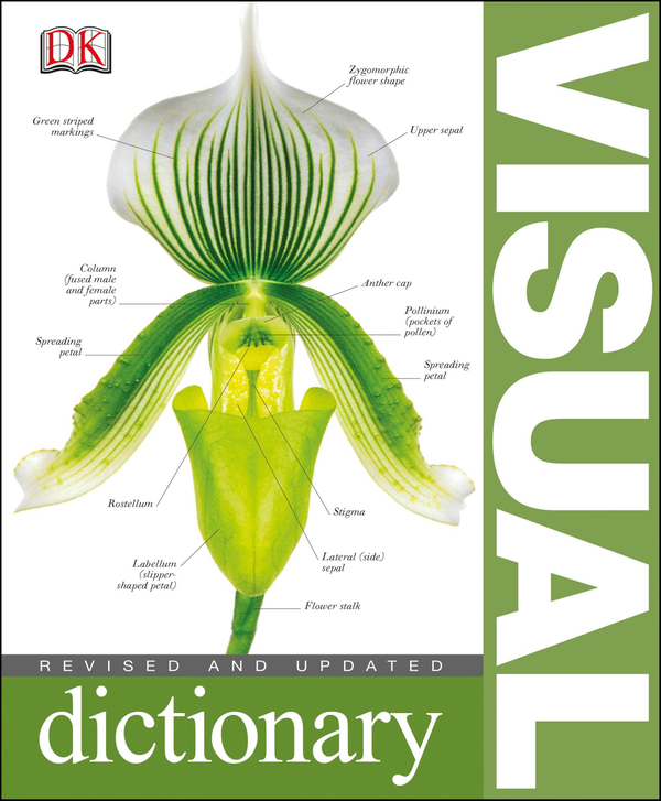 Бумажная книга «Visual Dictionary» - фото №1