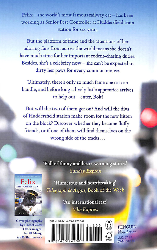 Бумажная книга «Full Steam Ahead, Felix», автор Кейт Мур - фото №1