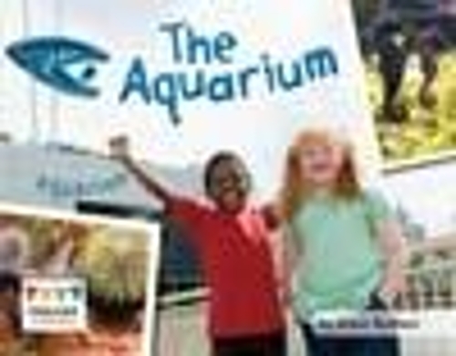 Паперова книга «The Aquarium», автор Анна Джульєрі - фото №1