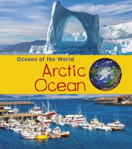 Паперова книга «Arctic Ocean», автор Луїза Спілсбері - фото №1