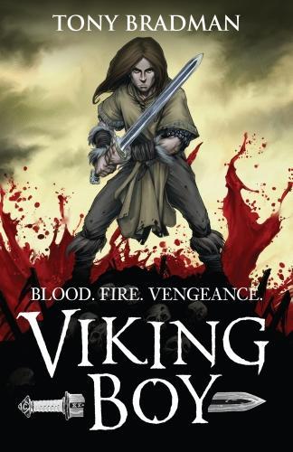 Бумажная книга «Viking Boy», автор Тони Брэдман - фото №1