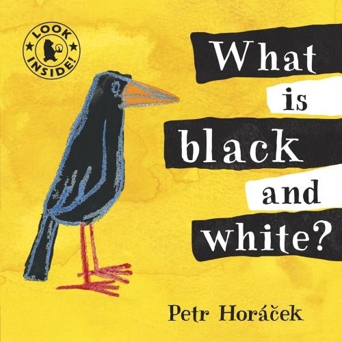 Бумажная книга «What Is Black and White?», автор Петр Горачек - фото №1