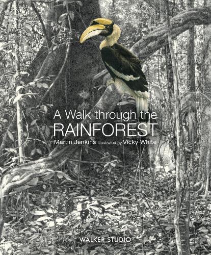 Бумажная книга «A Walk Through the Rainforest», автор Мартин Дженкинс - фото №1