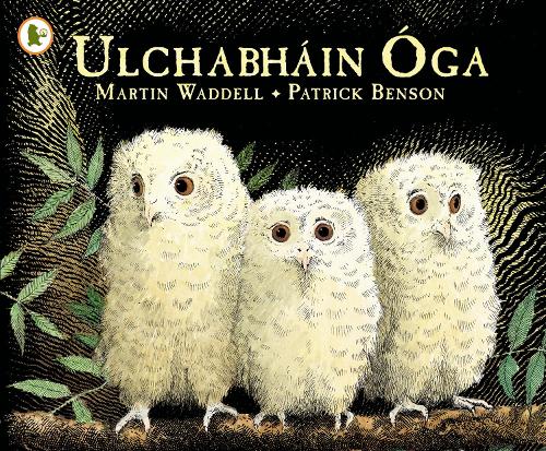 Бумажная книга «Ulchabháin Óga (Owl Babies)», автор Мартин Уодделл - фото №1