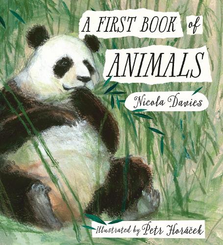 Бумажная книга «A First Book of Animals», автор Никола Дэвис - фото №1