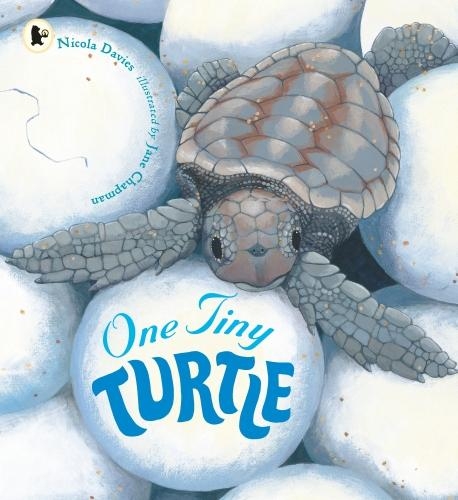 [object Object] «One Tiny Turtle», автор Никола Дэвис - фото №1