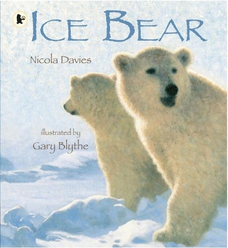 Бумажная книга «Ice Bear», автор Никола Дэвис - фото №1