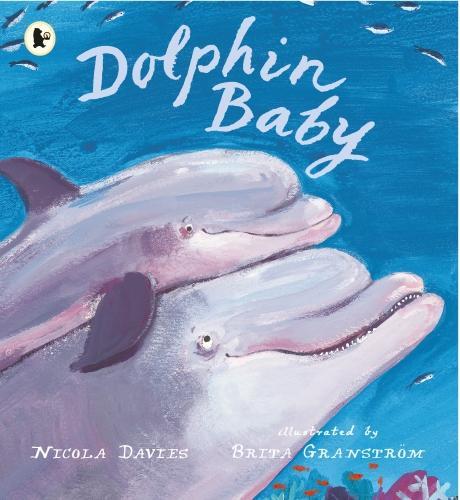 Бумажная книга «Dolphin Baby», автор Никола Дэвис - фото №1
