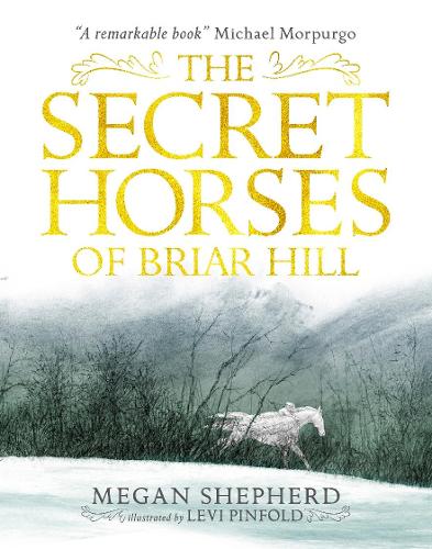 Бумажная книга «The Secret Horses of Briar Hill», автор Меган Шепард - фото №1