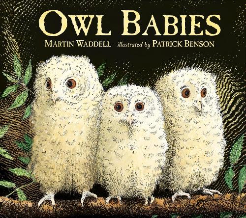 Паперова книга «Owl Babies», автор Мартін Уодделл - фото №1