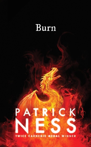 Паперова книга «Burn», автор Патрік Несс - фото №1