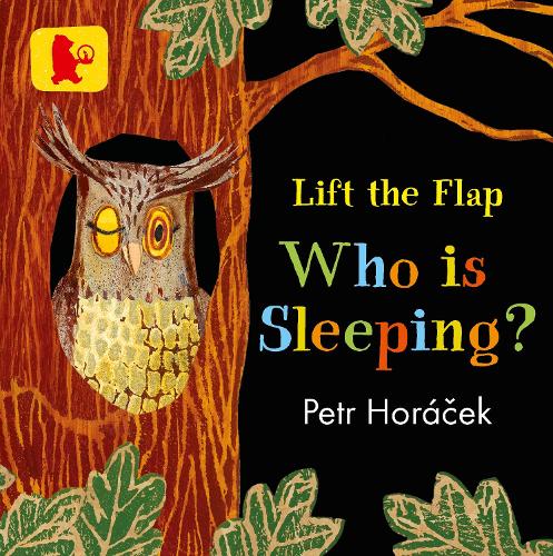 Бумажная книга «Who Is Sleeping?», автор Петр Горачек - фото №1