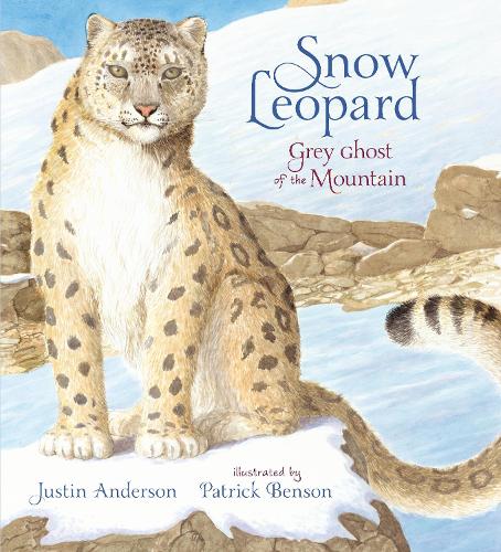 Паперова книга «Snow Leopard: Grey Ghost of the Mountain», автор Джастін Андерсон - фото №1