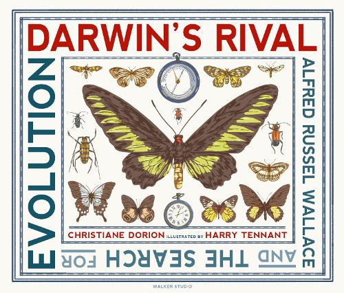 Паперова книга «Darwin's Rival: Alfred Russel Wallace and the Search for Evolution», автор Кристиана Дорион - фото №1