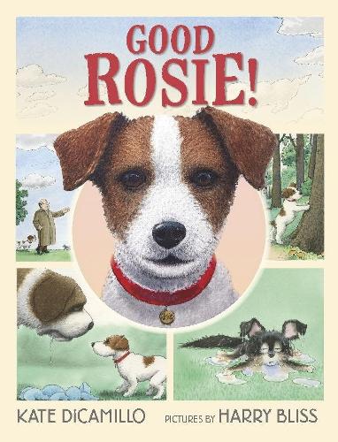 Бумажная книга «Good Rosie!», автор Кейт ДиКамилло - фото №1