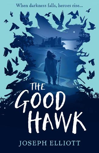 Бумажная книга «The Good Hawk (Shadow Skye, Book One)», автор Джозеф Эллиот - фото №1