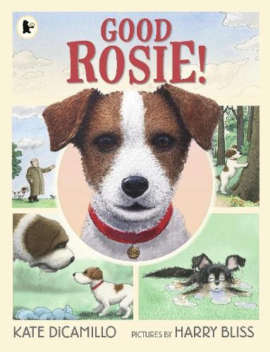Паперова книга «Good Rosie!», автор Кейт ДіКамілло - фото №1