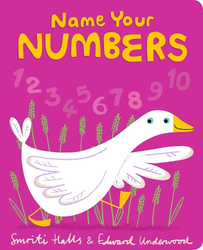 Паперова книга «Name Your Numbers», автор Смріті Холс - фото №1