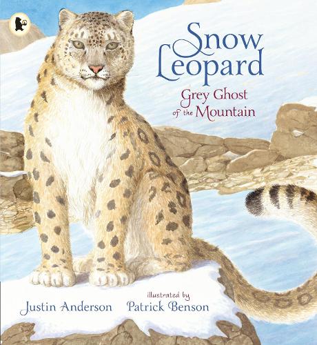 Паперова книга «Snow Leopard: Grey Ghost of the Mountain», автор Джастін Андерсон - фото №1