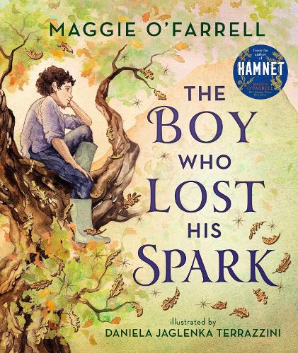 Паперова книга «The Boy Who Lost His Spark», автор Меггі О'Фаррелл - фото №1