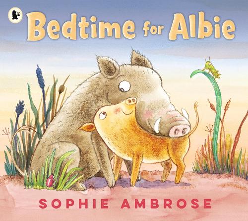 Бумажная книга «Bedtime for Albie», автор Софи Амброуз - фото №1