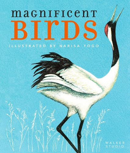 Паперова книга «Magnificent Birds», автор Наріса Того - фото №1