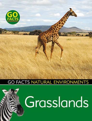 Бумажная книга «Grasslands», автор Ян Рор - фото №1