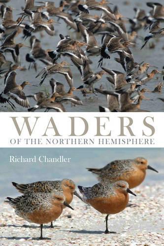 Паперова книга «Shorebirds of the Northern Hemisphere», автор Річард Чандлер - фото №1