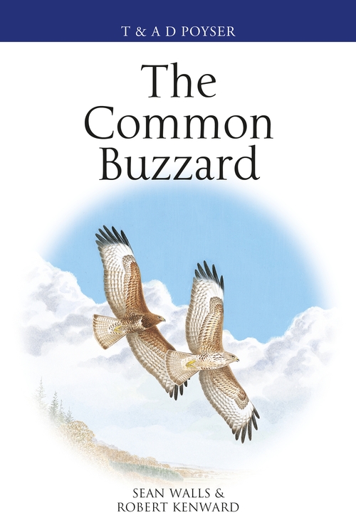 Бумажная книга «The Common Buzzard» - фото №1