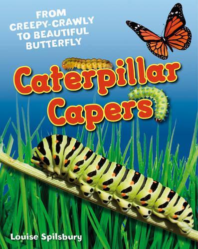 Паперова книга «Caterpillar Capers: Age 5-6, above average readers», автор Луїза Спілсбері - фото №1