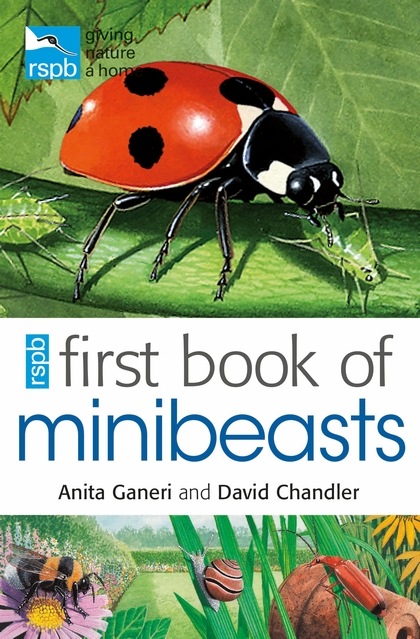 Паперова книга «RSPB First Book Of Minibeasts» - фото №1