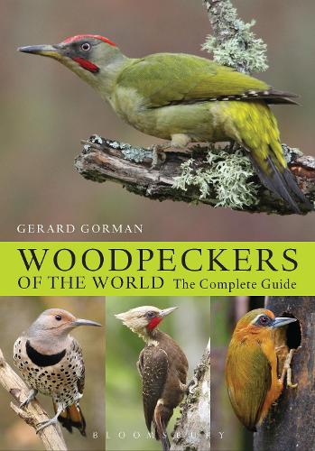 Бумажная книга «Woodpeckers of the World: The Complete Guide», автор Жерар Горман - фото №1