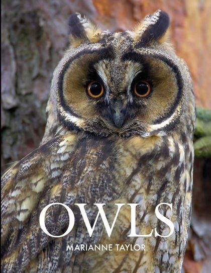 Бумажная книга «Owls» - фото №1