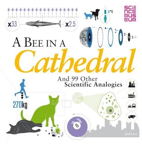 Бумажная книга «A Bee in a Cathedral: And 99 other scientific analogies», автор Джоэл Леви - фото №1